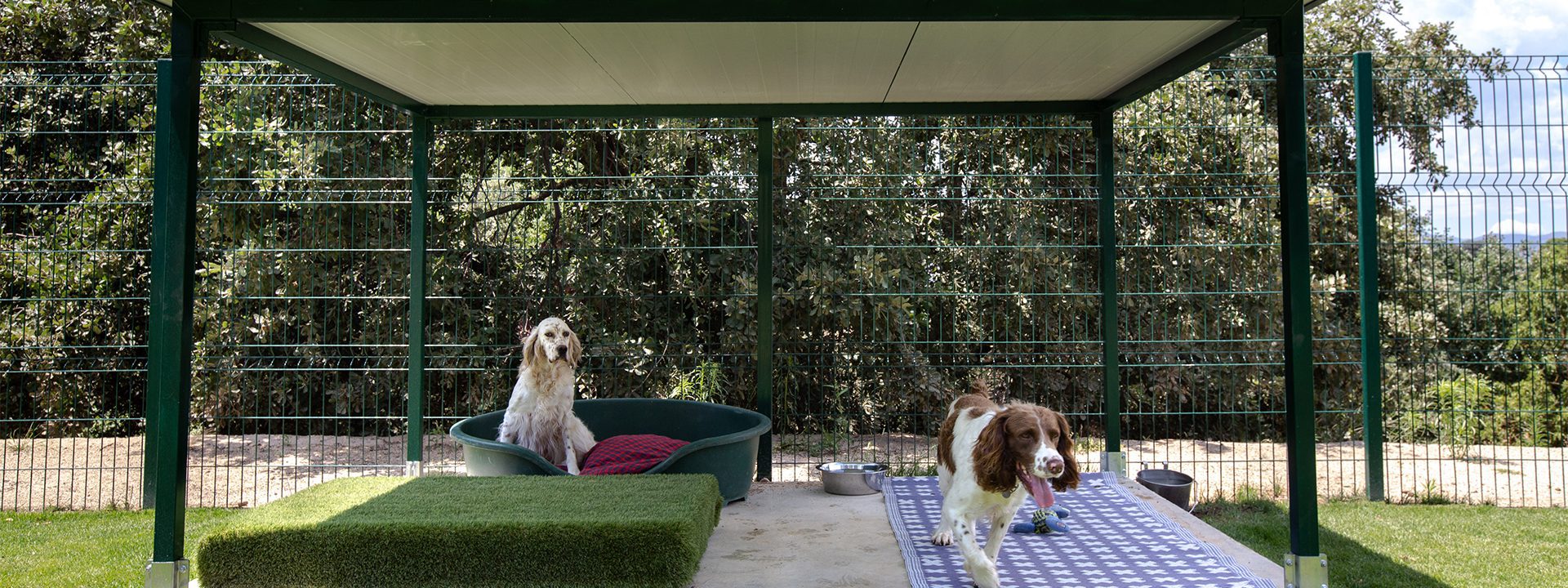 Perros en el jardin a la sombra en la pergola - Instalaciones - Galeria Dondersteen Resort Foto 11